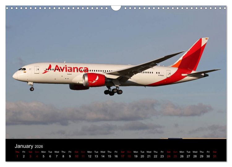 Produktbild: 787 - The Dream Liner (Wall Calendar 2026 DIN A3 landscape), CALVENDO 12 Month Wall Calendar