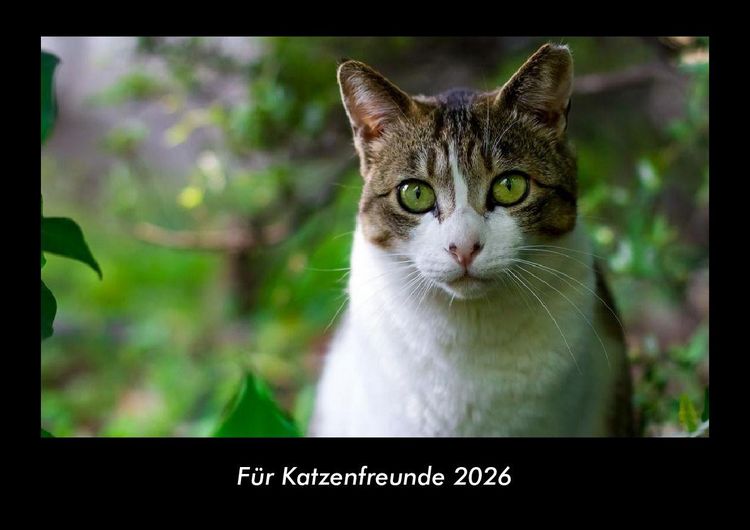 Produktbild: F&uuml;r Katzenfreunde 2026 Fotokalender DIN A3