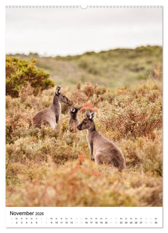 Produktbild: australian animals (Wandkalender 2026 DIN A2 hoch), CALVENDO Monatskalender