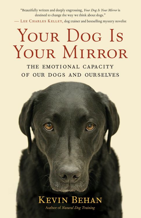 Produktbild: Your Dog Is Your Mirror