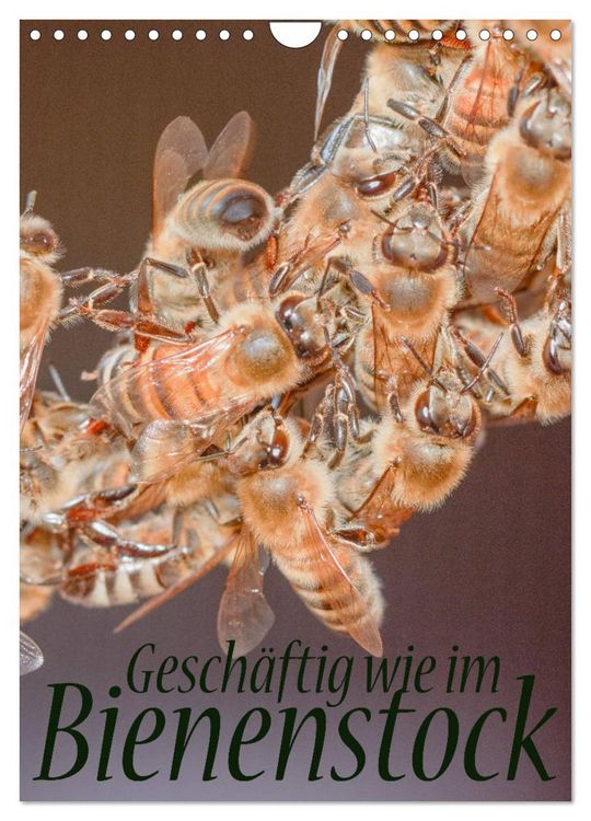 Produktbild: Gesch&auml;ftig wie im Bienenstock (Wandkalender 2026 DIN A4 hoch), CALVENDO Monatskalender