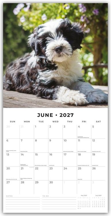 Produktbild: Tibetan Terriers &ndash; Tibet Terrier 2027 &ndash; 16-Monatskalender