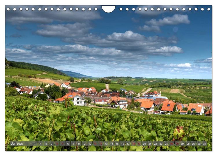 Produktbild: Weinland Pfalz - Region S&uuml;dliche Weinstra&szlig;e (Wandkalender 2026 DIN A4 quer), CALVENDO Monatskalender