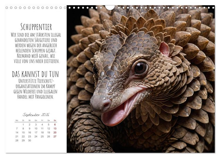 Produktbild: Wir sind die Letzten hier! Wir sterben aus. Wie du uns helfen kannst! (Wandkalender 2026 DIN A3 quer), CALVENDO Monatskalender
