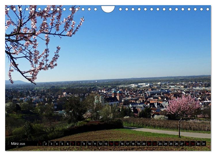 Produktbild: Sehenswertes Bensheim an der Bergstra&szlig;e (Wandkalender 2026 DIN A4 quer), CALVENDO Monatskalender