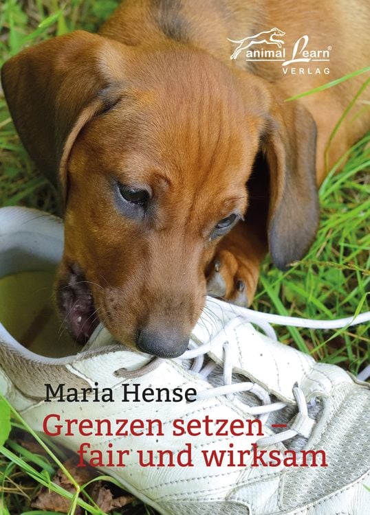 Produktbild: Grenzen setzen