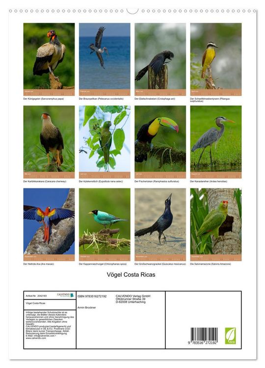 Produktbild: V&ouml;gel Costa Ricas (hochwertiger Premium Wandkalender 2026 DIN A2 hoch), Kunstdruck in Hochglanz