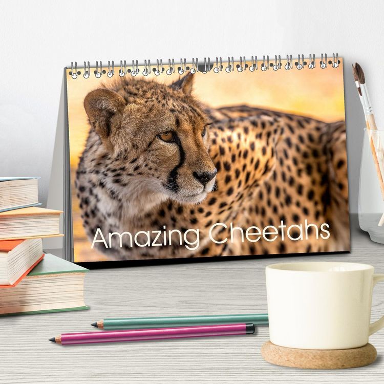 Produktbild: Amazing Cheetahs (Desk Calendar 2026 DIN A5 landscape), CALVENDO 12 Month DeskCalendar