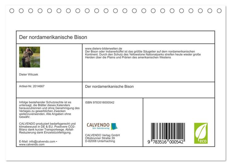 Produktbild: Der nordamerikanische Bison (Tischkalender 2026 DIN A5 quer), CALVENDO Monatskalender