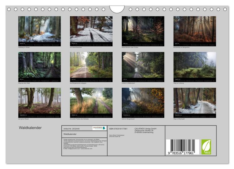 Produktbild: Waldkalender (Wandkalender 2026 DIN A4 quer), CALVENDO Monatskalender