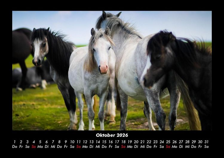 Produktbild: Die Welt der Pferde 2026 Fotokalender DIN A3