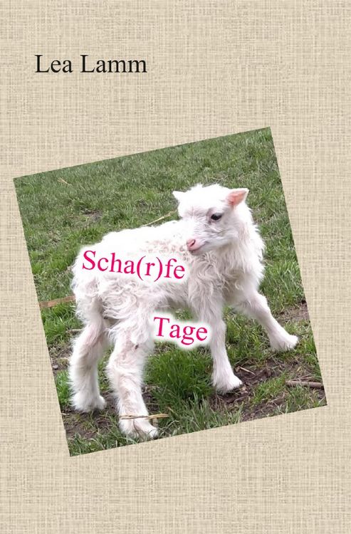 Produktbild: Scha(r)fe Tage