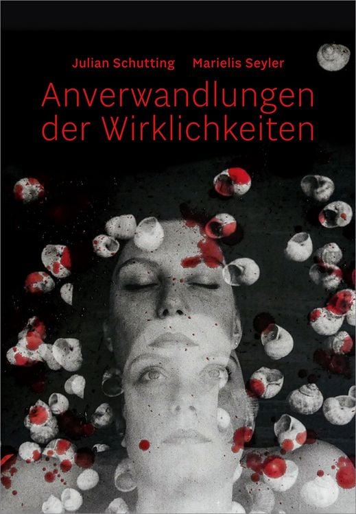 Produktbild: Julian Schutting | Marielis Seyler &ndash; Anverwandlungen der Wirklichkeiten