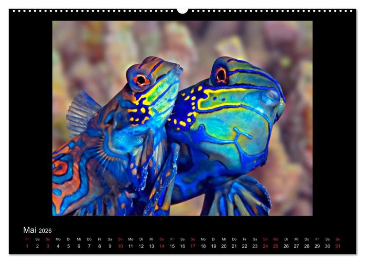 Produktbild: OCEAN - ART (hochwertiger Premium Wandkalender 2026 DIN A2 quer), Kunstdruck in Hochglanz