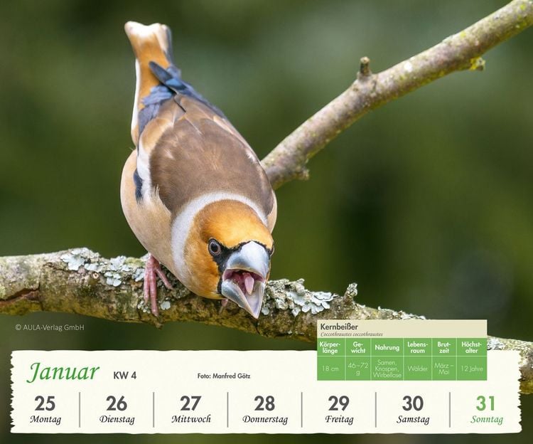Produktbild: Heimische V&ouml;gel 2027