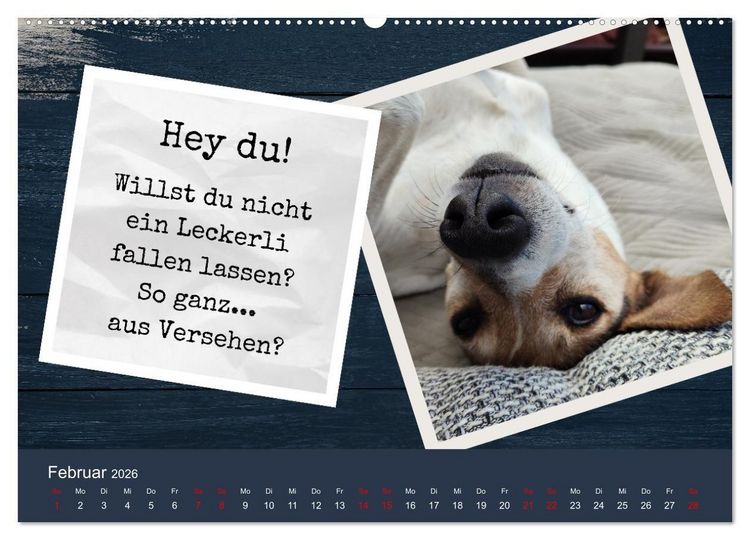 Produktbild: Ratonero Bodeguero Andaluz (hochwertiger Premium Wandkalender 2026 DIN A2 quer), Kunstdruck in Hochglanz