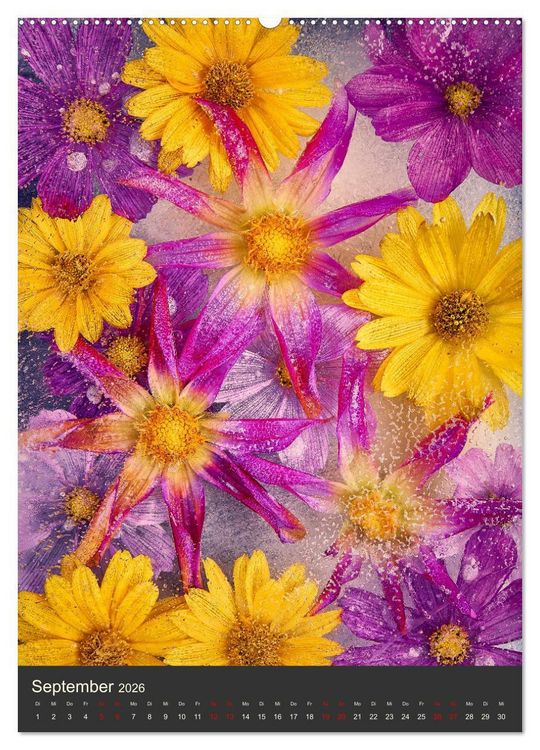 Produktbild: Magische Eisblumen (Wandkalender 2026 DIN A2 hoch), CALVENDO Monatskalender