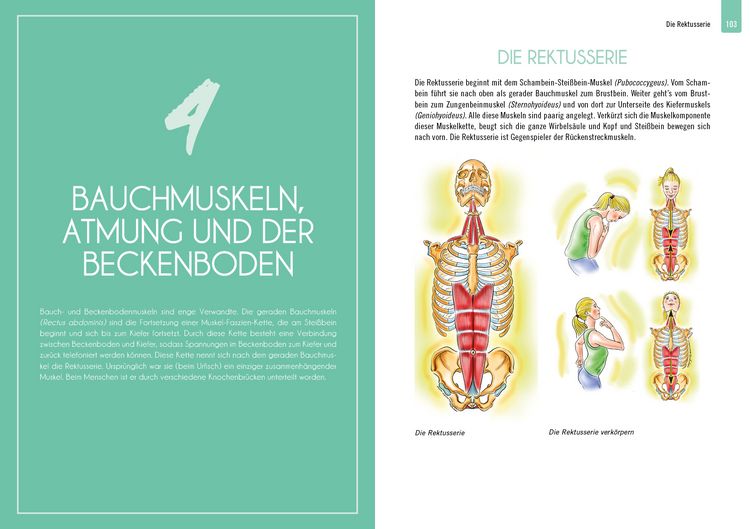 Produktbild: Beckenbodenpower