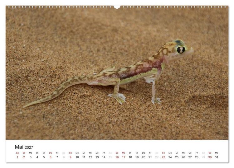 Produktbild: Namibia - Tierische Vielfalt (Wandkalender 2027 DIN A2 quer), CALVENDO Monatskalender