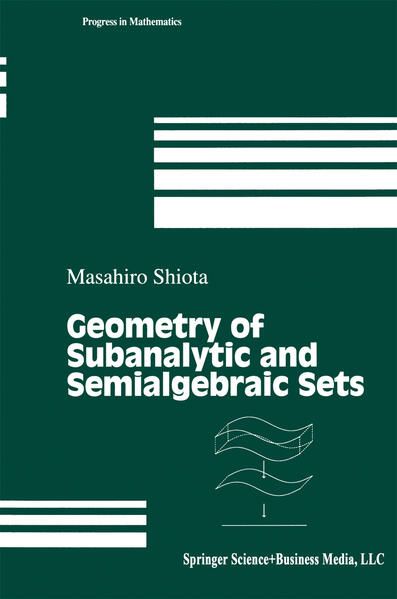 Produktbild: Geometry of Subanalytic and Semialgebraic Sets