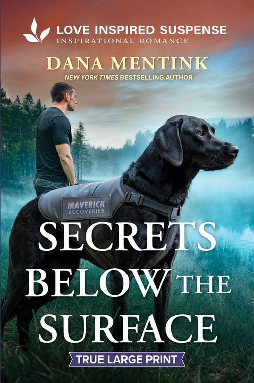 Produktbild: Secrets Below the Surface
