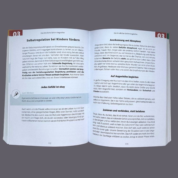 Produktbild: Gemeinsam durch die Wut