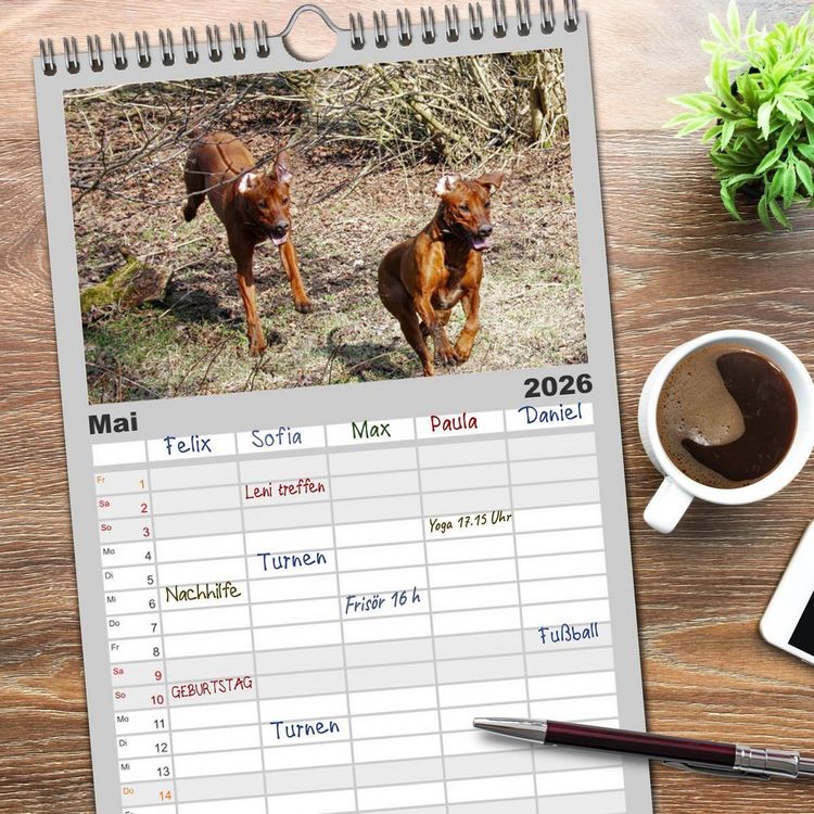 Produktbild: Familienplaner 2026 - Rhodesian Ridgeback - Moments mit 5 Spalten (Wandkalender, 21 x 45 cm) CALVENDO