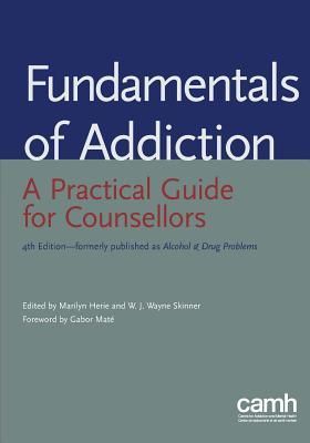 Produktbild: Fundamentals of addiction