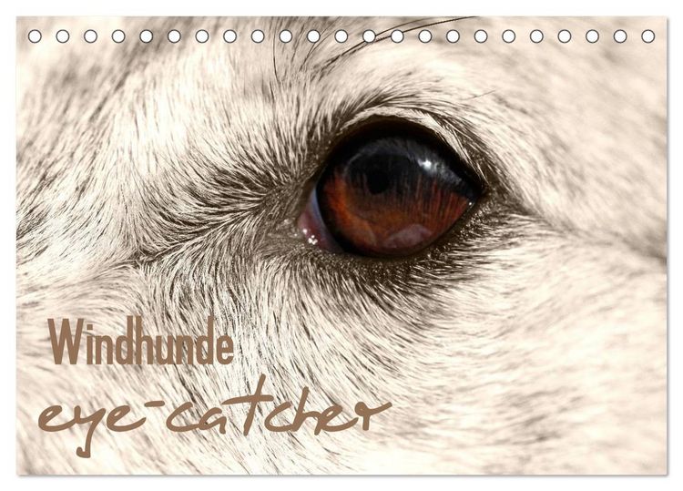 Produktbild: Windhunde eye-catcher (Tischkalender 2026 DIN A5 quer), CALVENDO Monatskalender