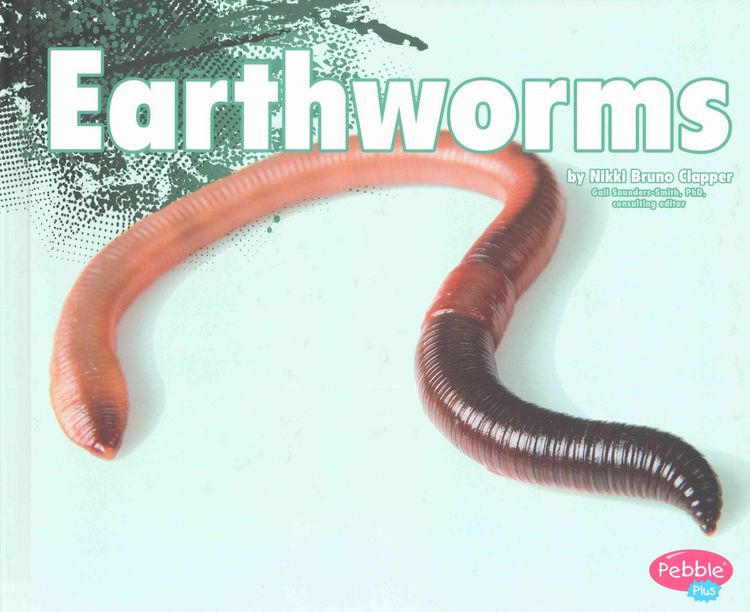 Produktbild: Earthworms