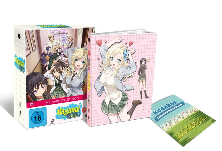 Produktbild: Haganai Next (Volume 1)