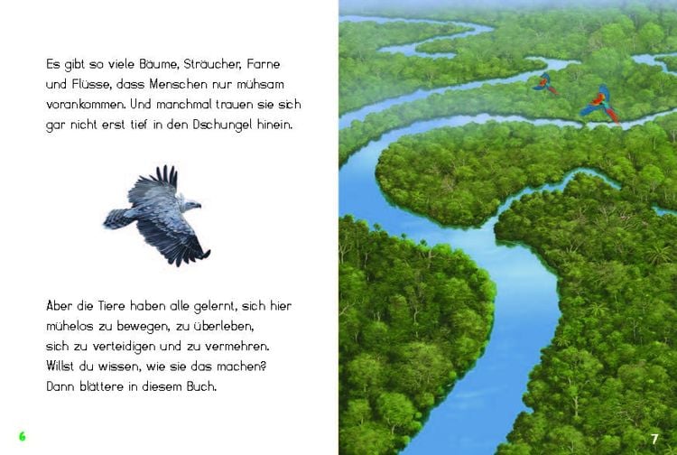Produktbild: Bunter Regenwald
