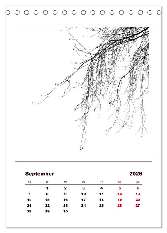 Produktbild: LignoGrafica - Muster und Strukturen der B&auml;ume (Tischkalender 2026 DIN A5 hoch), CALVENDO Monatskalender