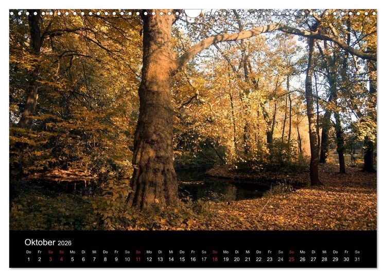 Produktbild: D&uuml;sseldorf 2026 (Wandkalender 2026 DIN A3 quer), CALVENDO Monatskalender
