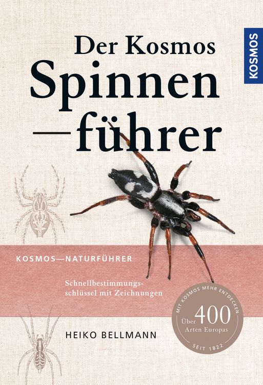 Produktbild: Der Kosmos Spinnenf&uuml;hrer