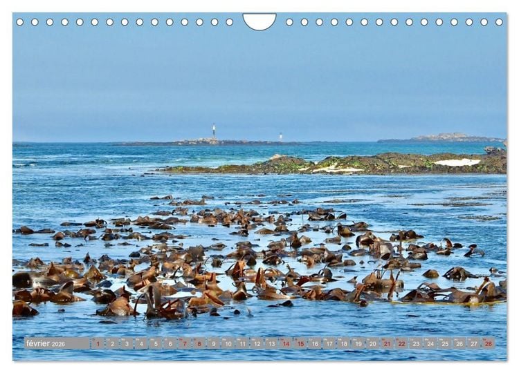 Produktbild: Les &icirc;les conqu&eacute;toises (Calendrier mural 2026 DIN A4 vertical), CALVENDO calendrier mensuel