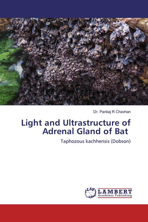 Produktbild: Light and Ultrastructure of Adrenal Gland of Bat