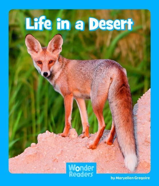 Produktbild: Life in a Desert