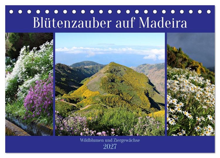 Produktbild: Bl&uuml;tenzauber auf Madeira. Wildblumen und Ziergew&auml;chse (Tischkalender 2027 DIN A5 quer), CALVENDO Monatskalender
