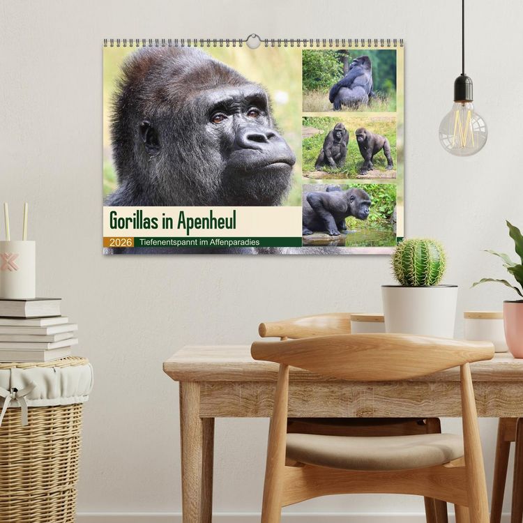 Produktbild: Flachlandgorillas in Apenheul (Wandkalender 2026 DIN A3 quer), CALVENDO Monatskalender