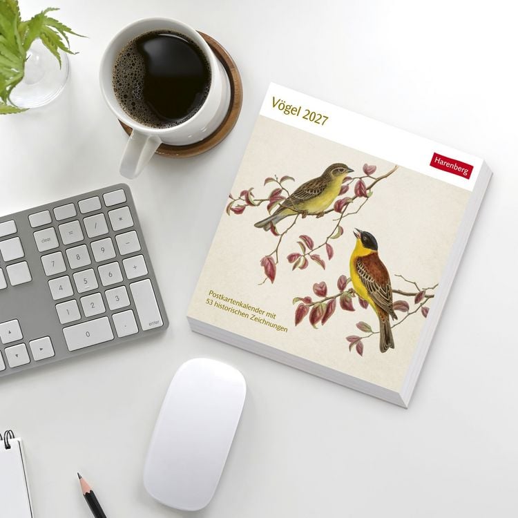 Produktbild: V&ouml;gel Postkartenkalender 2027 - Postkartenkalender mit 53 historischen Zeichnungen