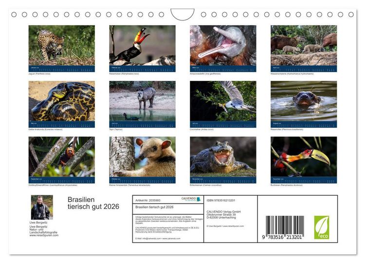 Produktbild: Brasilien tierisch gut 2026 (Wandkalender 2026 DIN A4 quer), CALVENDO Monatskalender