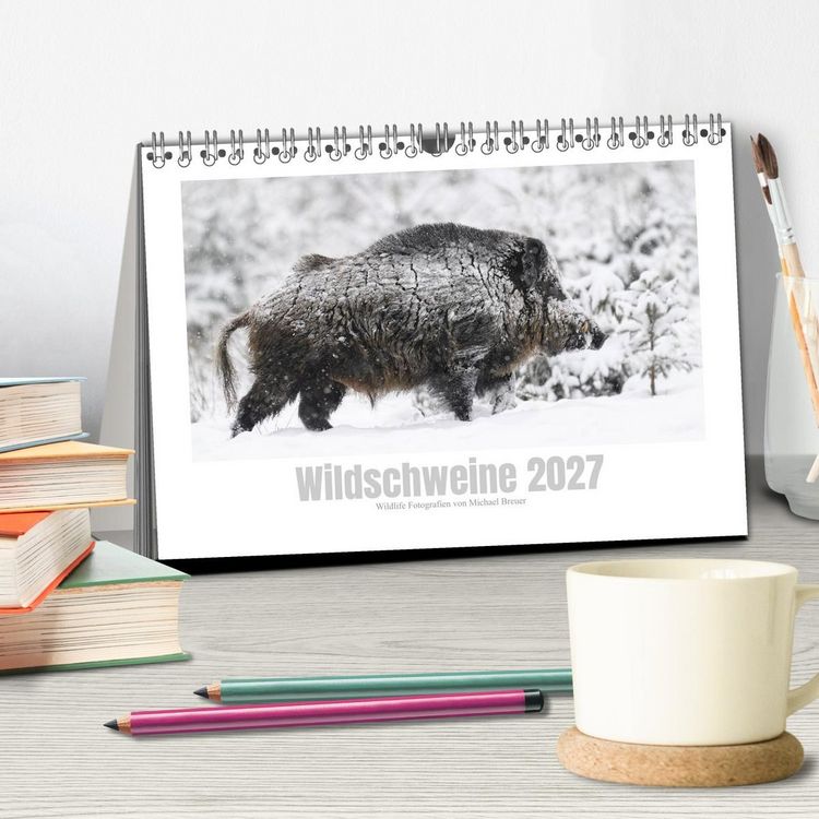 Produktbild: Wildschweine &ndash; Wildlife Fotografien (Tischkalender 2027 DIN A5 quer), CALVENDO Monatskalender