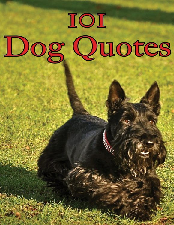 Produktbild: 101 Dog Quotes