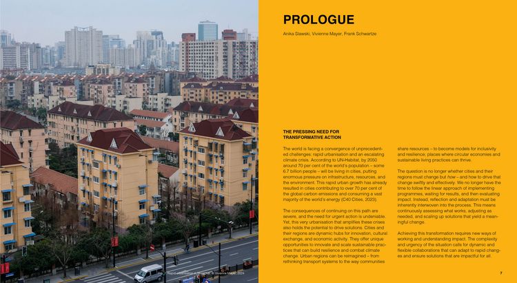 Produktbild: Navigating Urban Development