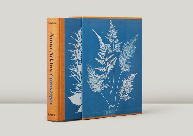 Produktbild: Anna Atkins