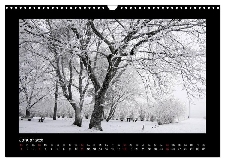 Produktbild: Taunus (Wandkalender 2026 DIN A3 quer), CALVENDO Monatskalender