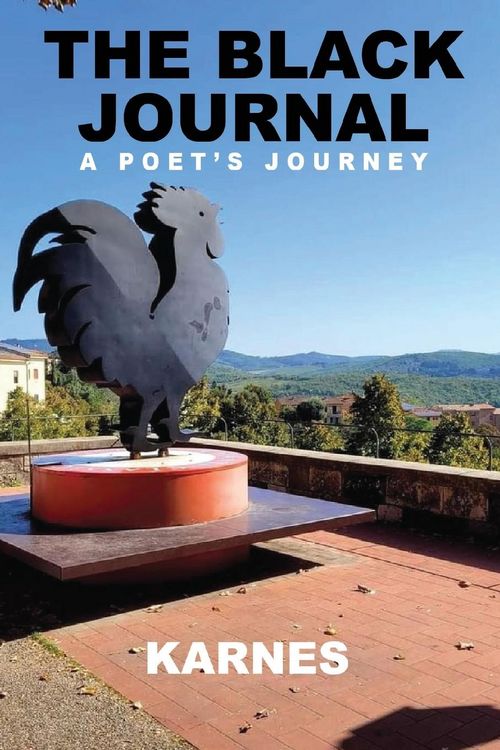 Produktbild: The Black Journal