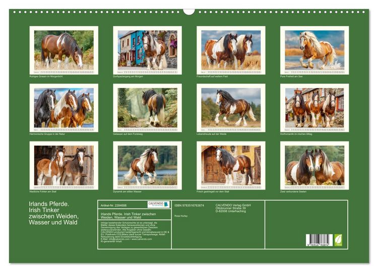 Produktbild: Irlands Pferde. Irish Tinker zwischen Weiden, Wasser und Wald (Wandkalender 2027 DIN A2 quer), CALVENDO Monatskalender