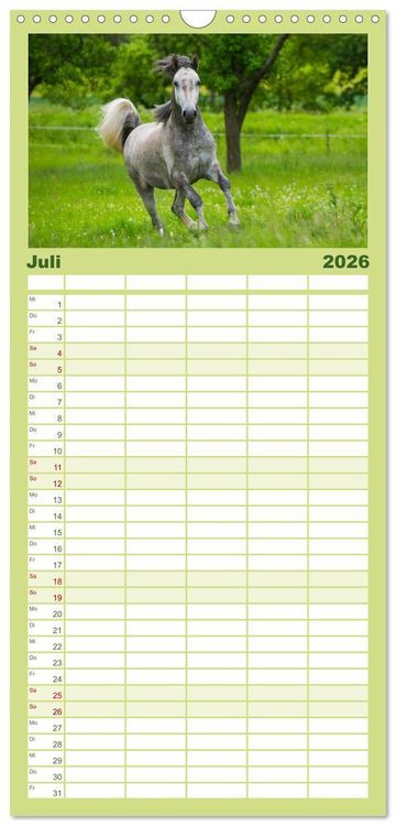 Produktbild: Familienplaner 2026 - Welt der Pferde mit 5 Spalten (Wandkalender, 21 x 45 cm) CALVENDO